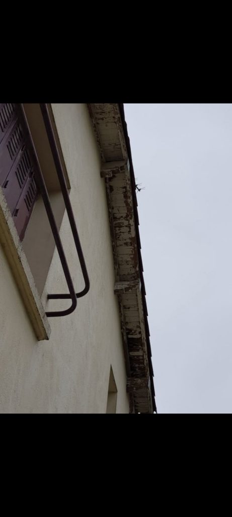 2857128836580786254 2857128836580786254